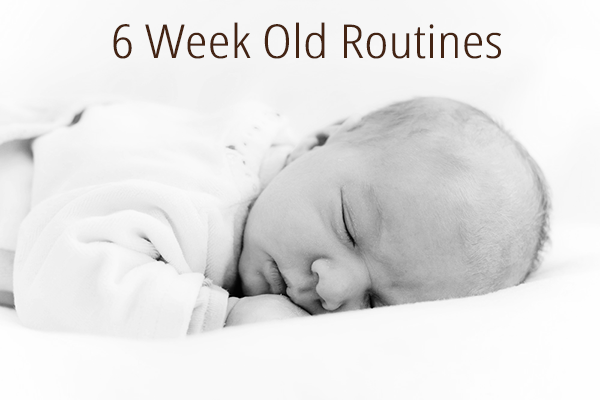 6 Week Old Routine / Schedule